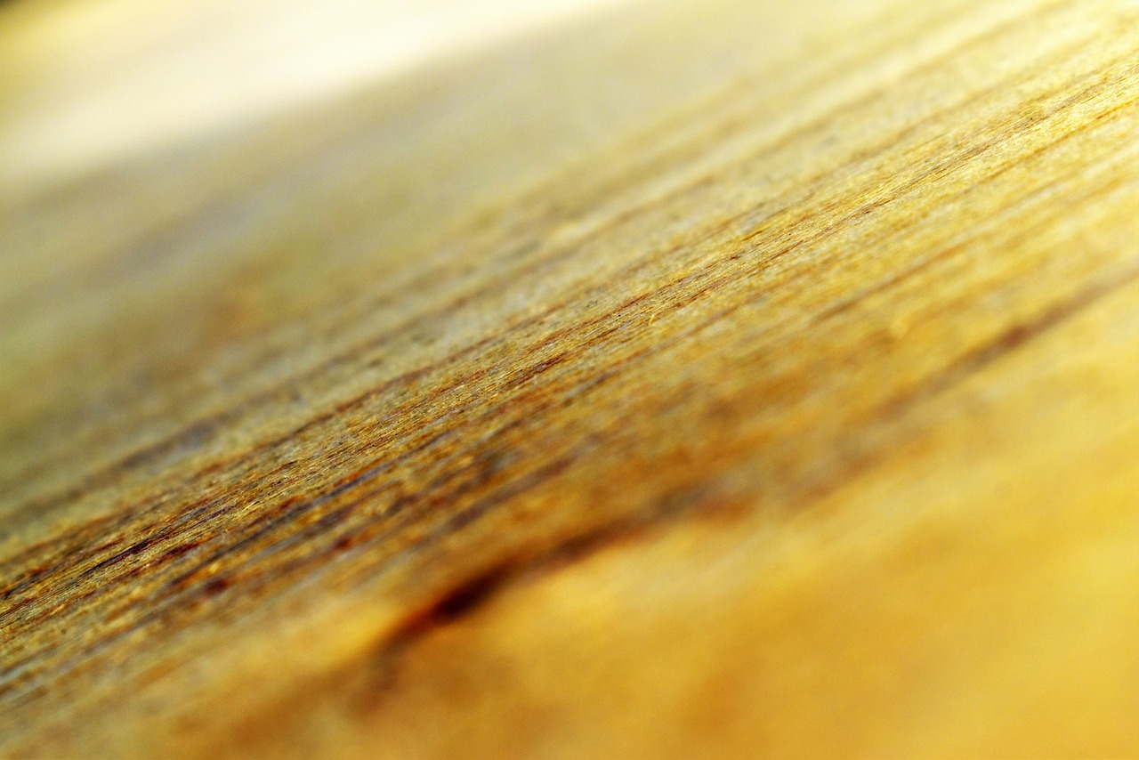 Teaque Banner 1